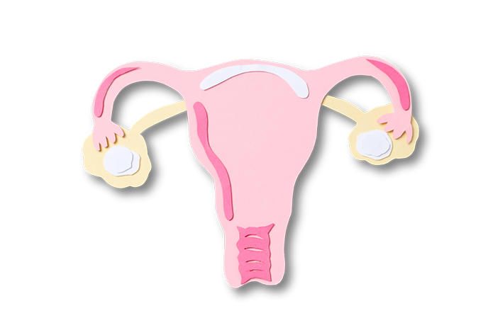inducción a la ovulación