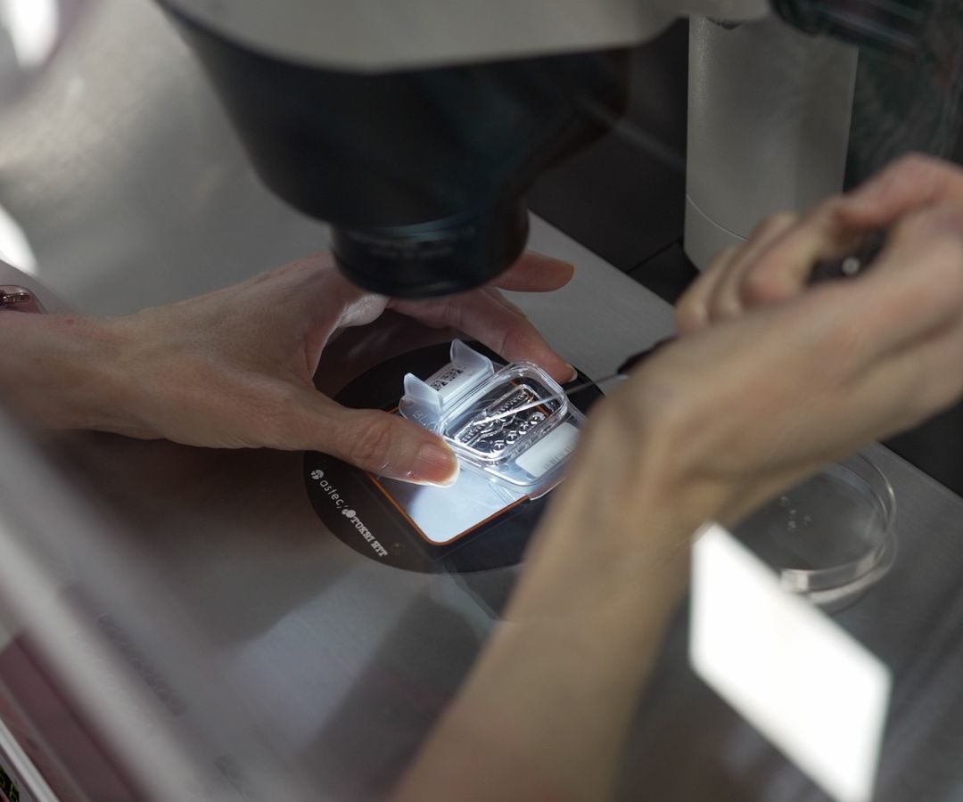 ¿La participación en proyectos de investigación puede ser anónima?